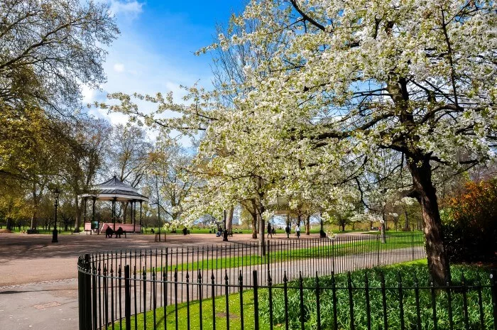 Teen Rushed To Hospital After Iron Fence Impalement In Hyde Park