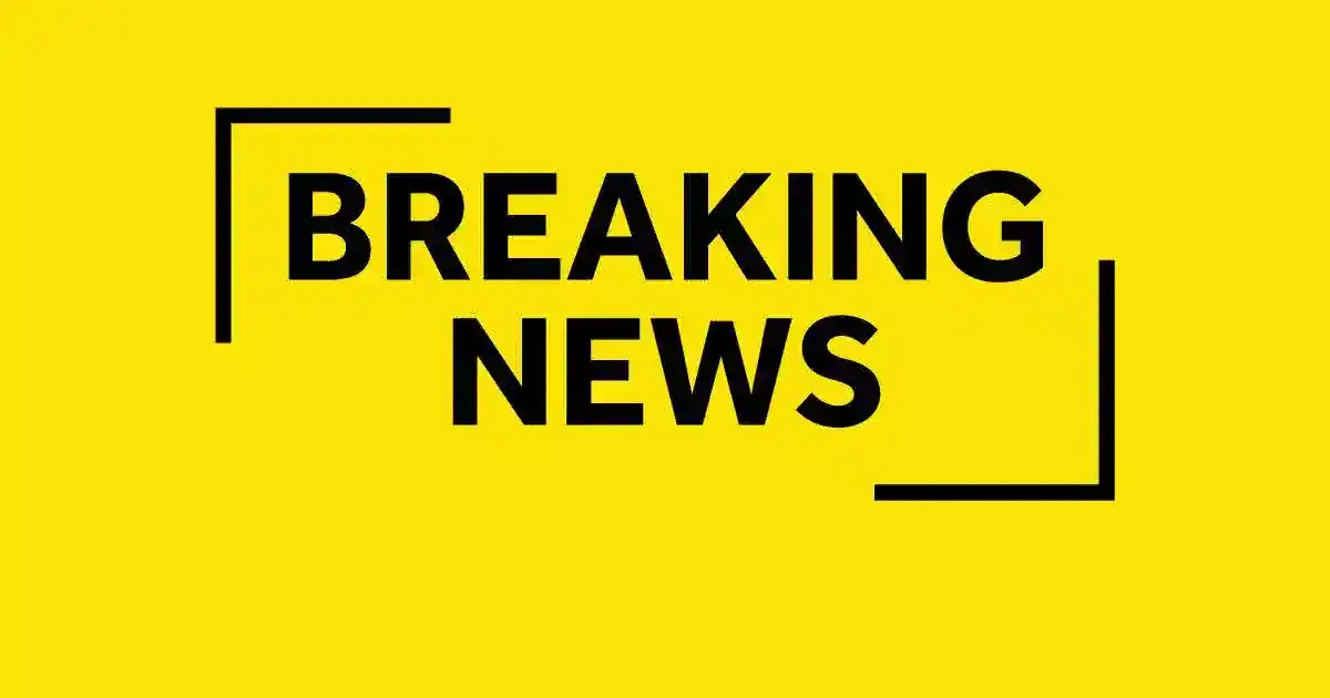 Exculsive: Pilot uninjured after Plane crash lands  in Yateley