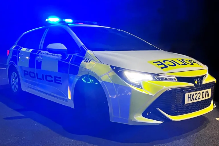 Young Man Killed on A31 After Van Hits Central Reservation and Struck by Range Rover – Police Urge Witnesses to Come Forward