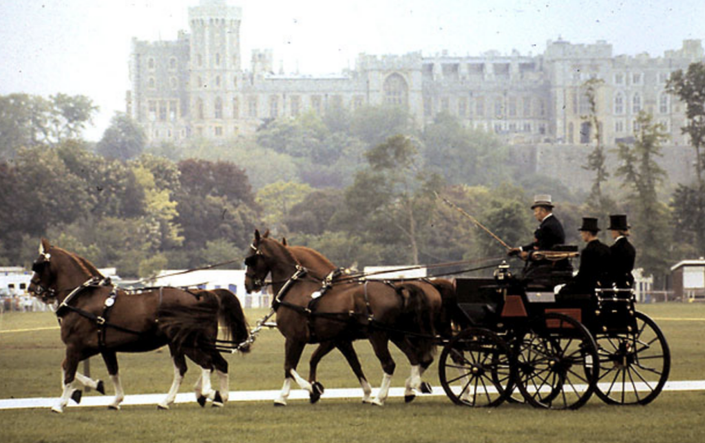 Soldier Dies Following Horse Fall at Equestrian Event