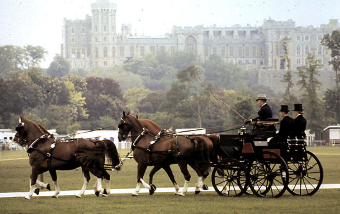 Soldier Dies Following Horse Fall at Equestrian Event