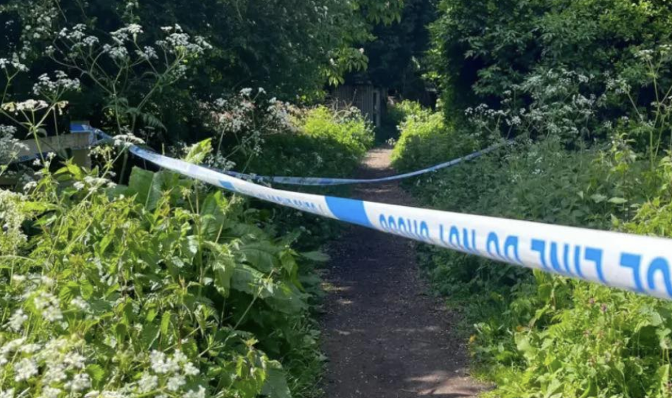 Juvenile Arrested in Attempted Murder Investigation
