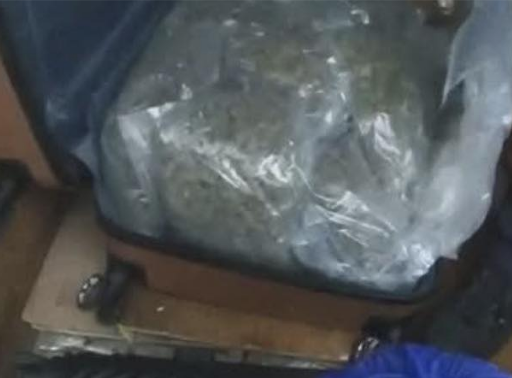 Man Arrested Following £140k Cannabis Seizure During Police Raid