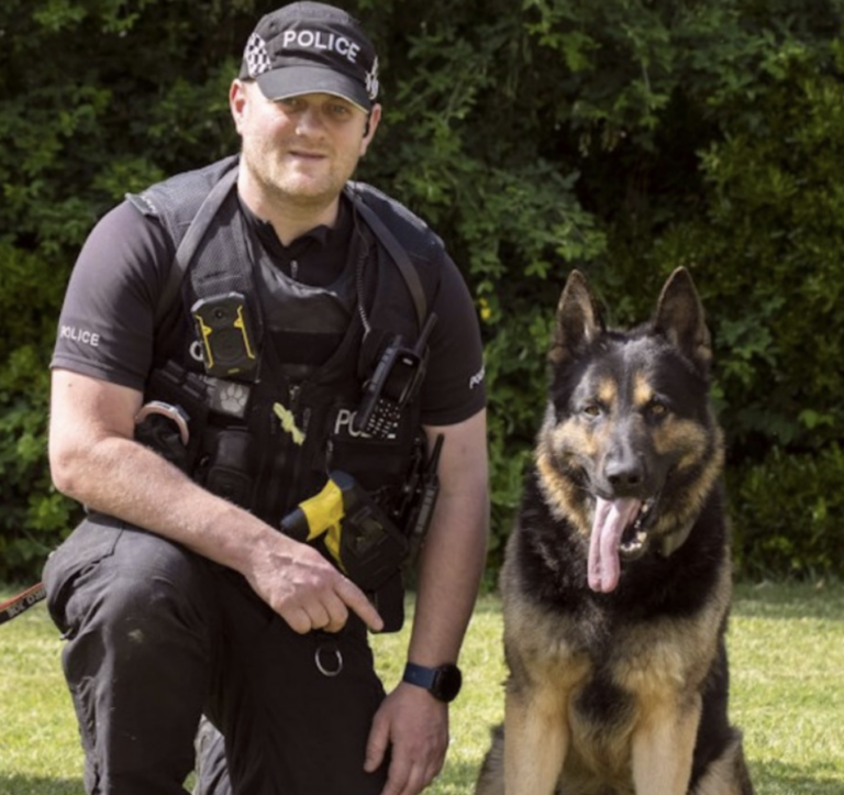 Police Dog PD Kaiser Recognized as Top K9 in England and Wales