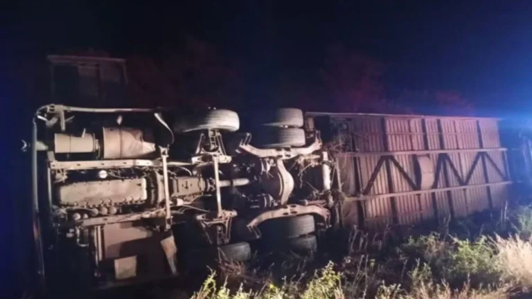 Seven Youth Basketball Players Die in Bus Crash Following Tournament Victory