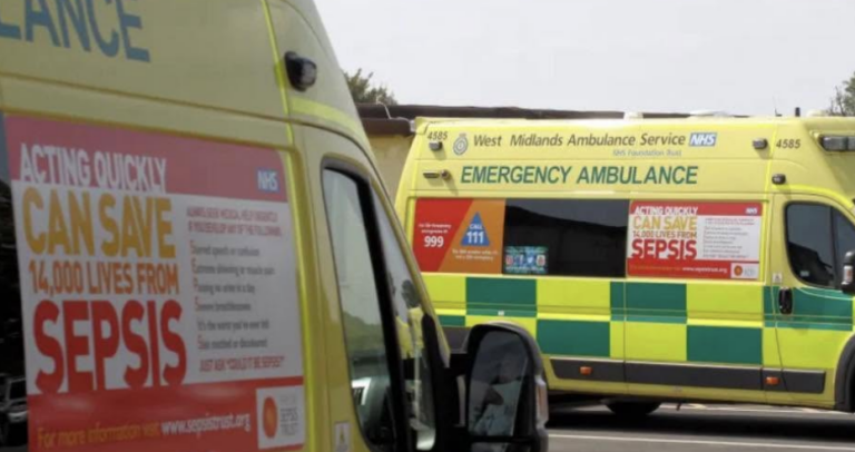 Man Dies Following Single-Vehicle Collision with Tree on Oldbury Road
