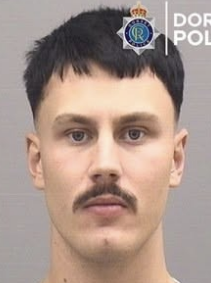 Joshua Moore sentenced to 5 years in custody for stabbing attack
