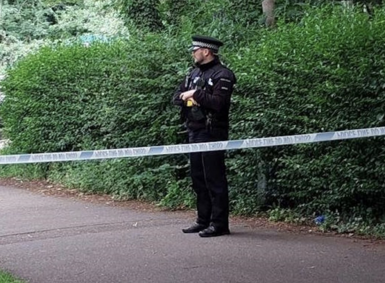 Three Teens Arrested for Murder Following Fatal Assault in Local Park