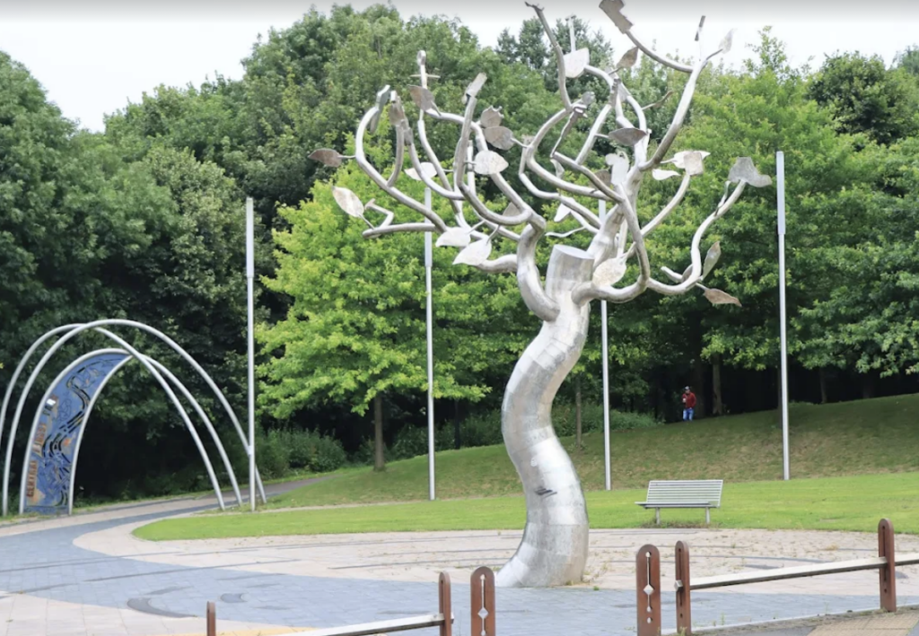 Police Seek Information Following Sexual Assault of Woman in Central Forest Park