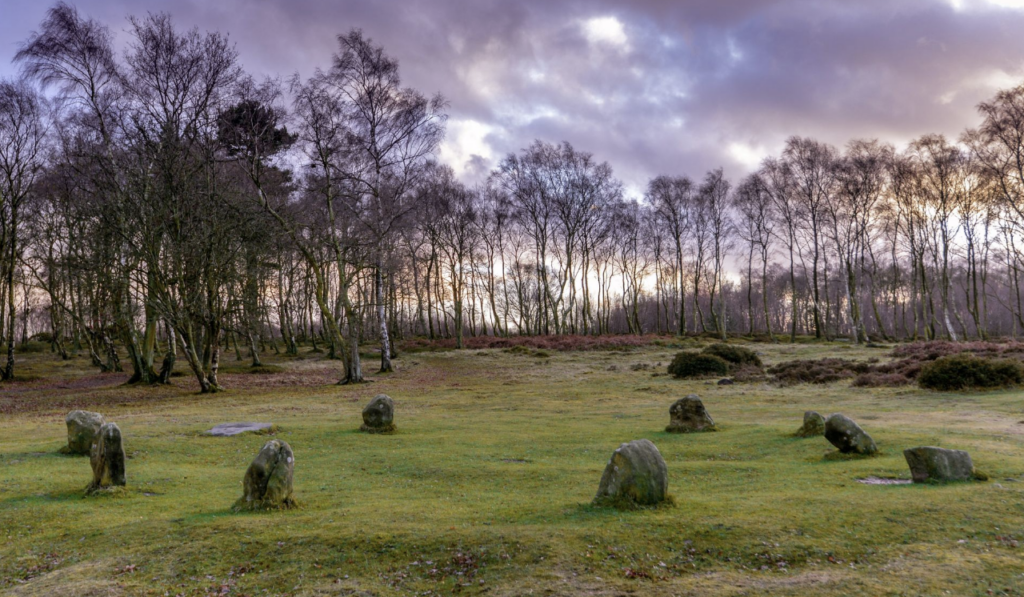 Murder Investigation Underway After Man Found Deceased at Stone Circle