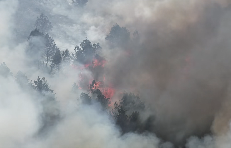 Wildfire Burns at Tintwistle Moor, Leading to Road Closures