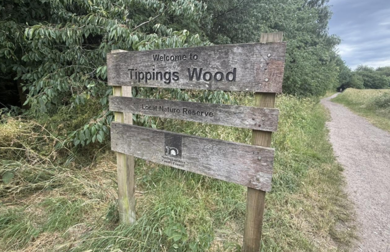 Specialist Ambulance Conducts Rescue Operation in Tippings Wood Rainworth