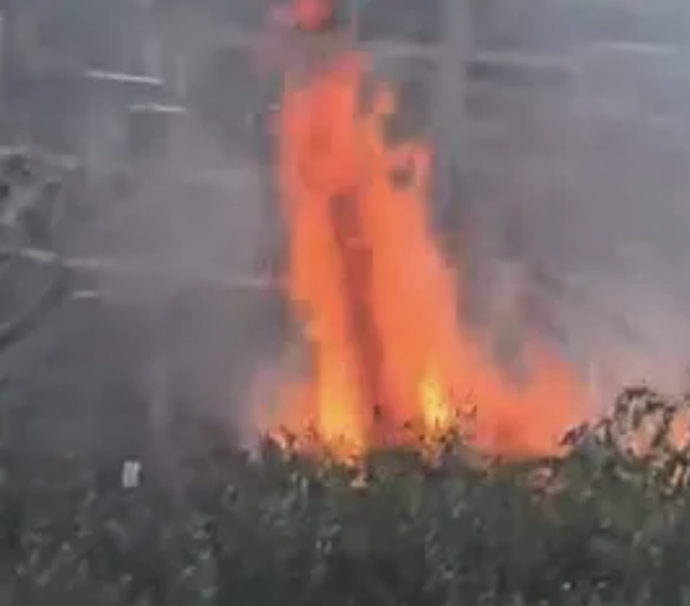 Bushfire Beside Railway Tracks Causes Major Disruption at Stratford Station