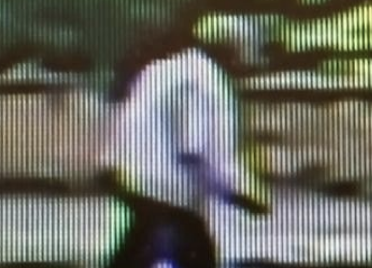 Police Hunt Man After Indecent Exposure Incident Near Swindon Park